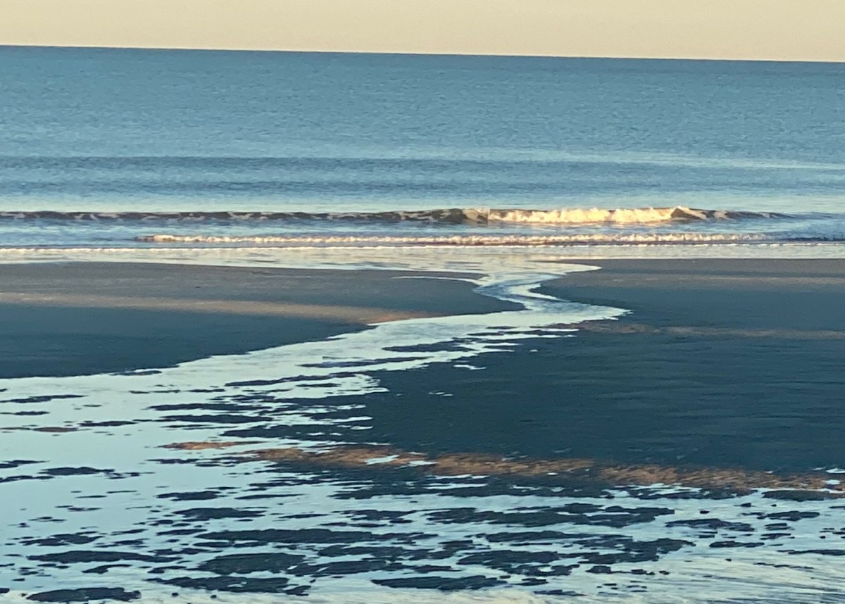 Reflecting on a&nbsp;Journey