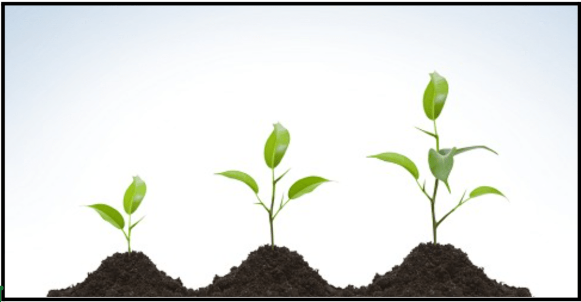 Living Radically – in your everyday life (Part&nbsp;Two)